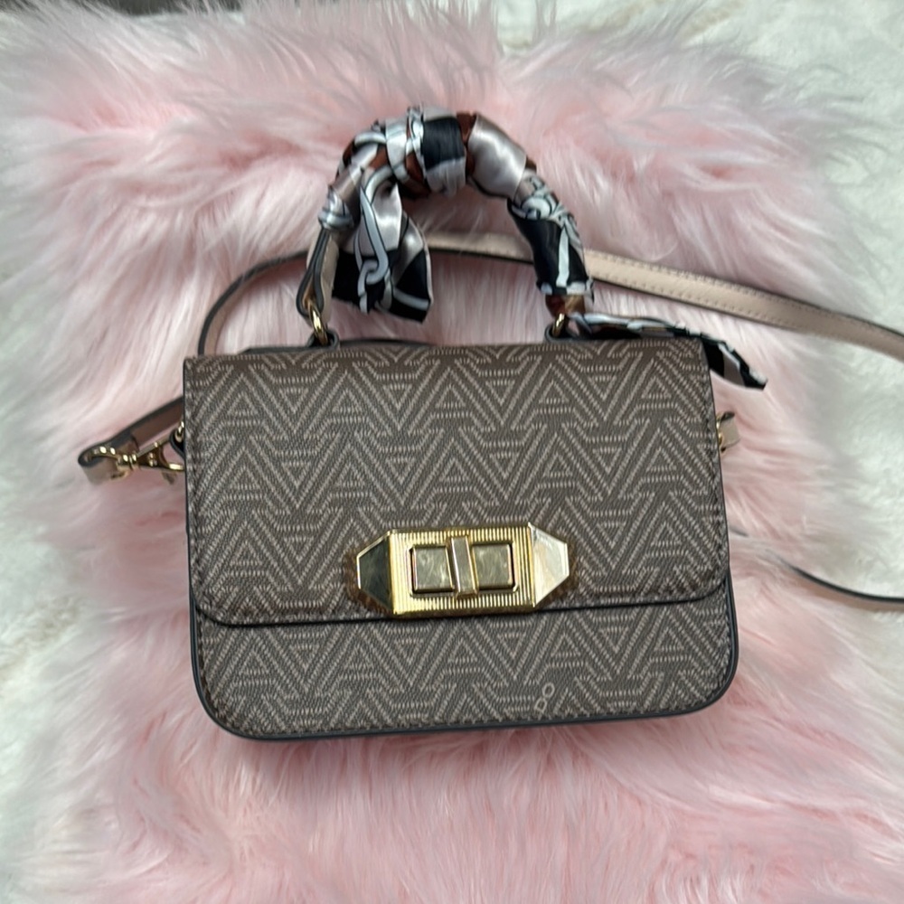 Aldo Brown and Gray Chevron Crossbody Mini Bag with Gold Hardware